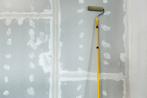 Best Basement Mold Removal  in Morocco, IN