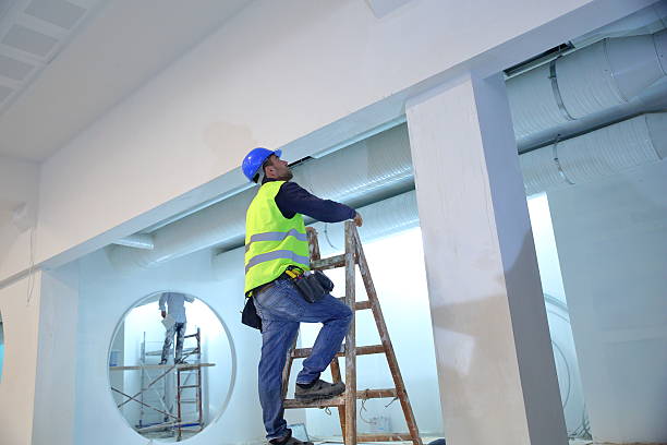 Best Attic Mold Removal  in Morocco, IN
